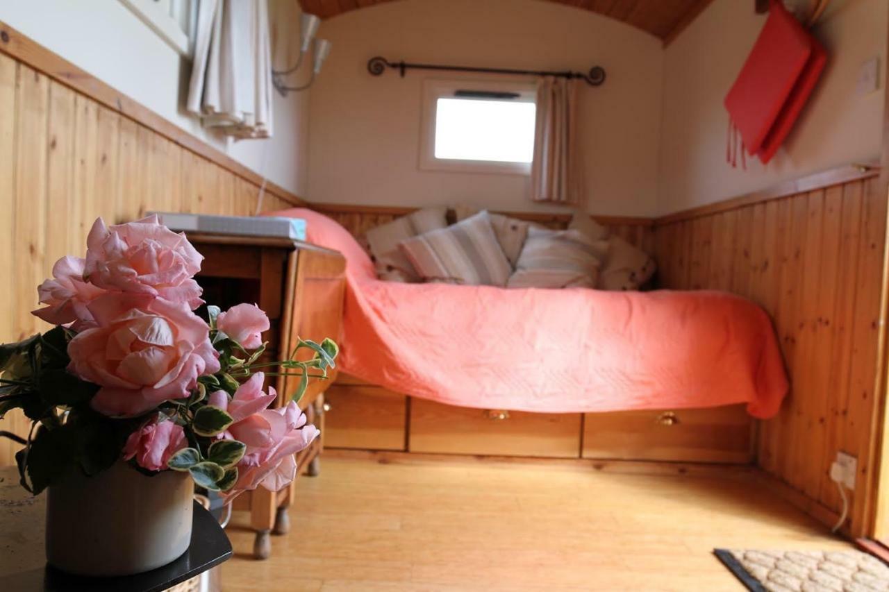 Hotel Shepherdshuts-Southeast à Ashford  Extérieur photo
